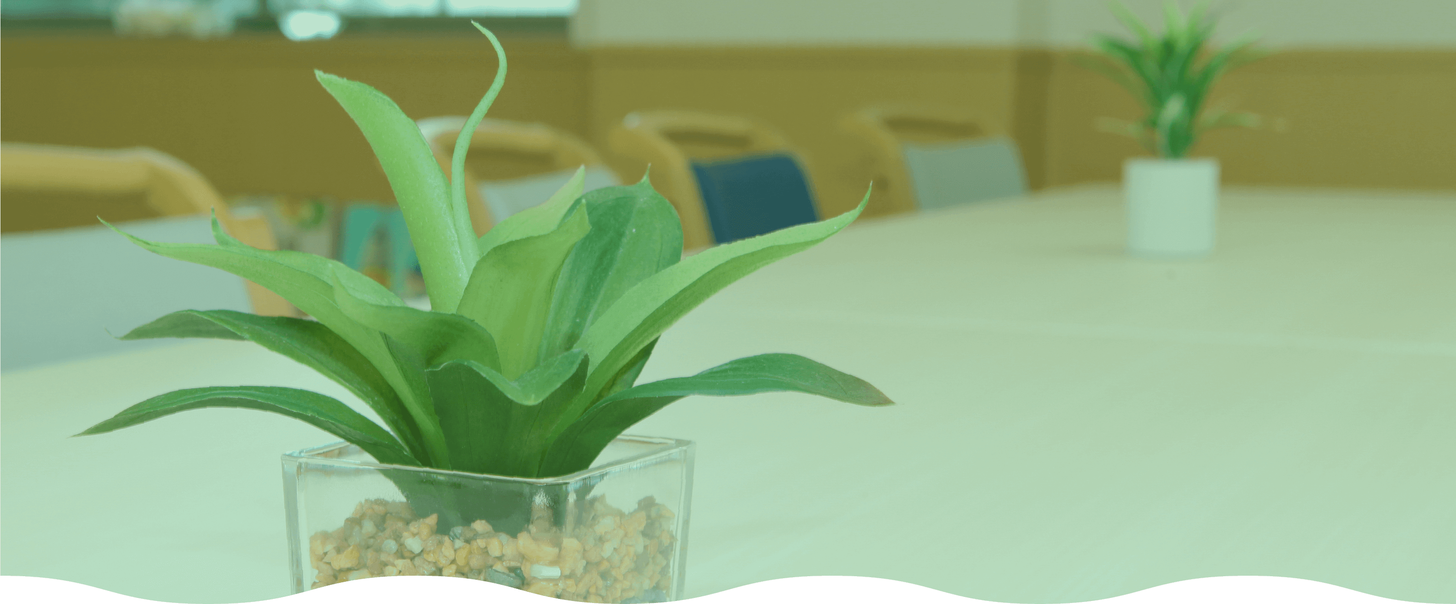 共用部のテーブルに飾られた観葉植物。明るい室内空間が見える。